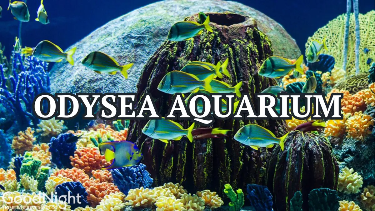 A vibrant, close-up view inside an aquarium, featuring colorful coral reefs, various species of fish swimming among large rock formations, and the glow of the water creating a magical atmosphere. The scene captures the wonder and excitement of exploring marine life, perfect for family outings and educational experiences.